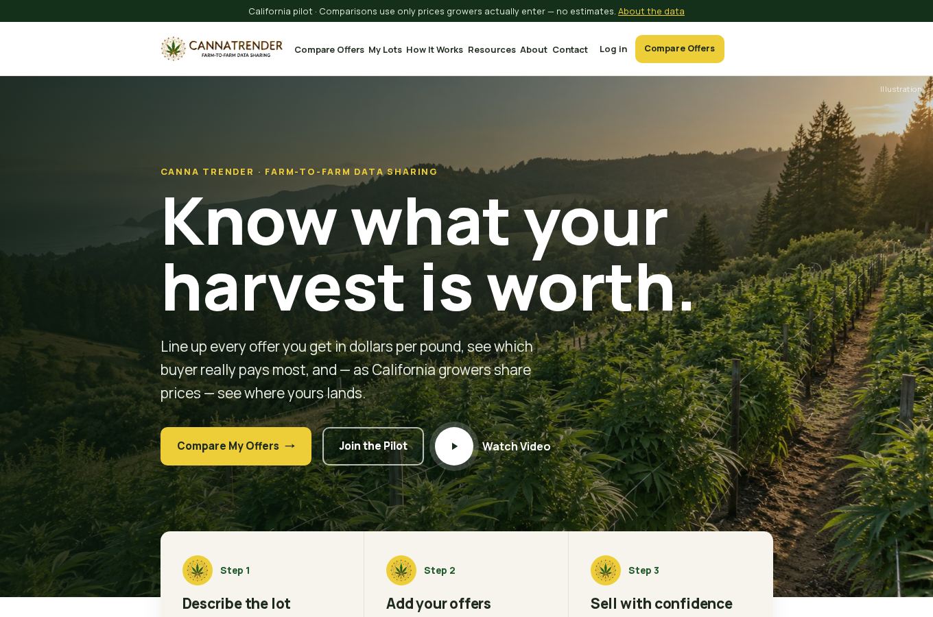 Public pilot snapshot for CannaTrender