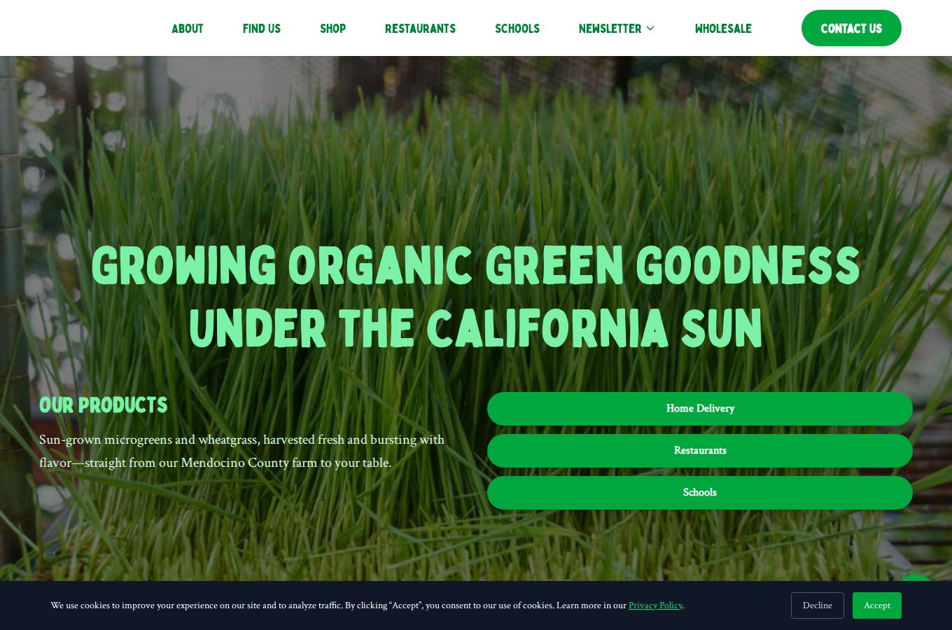 Website snapshot for Mendo Grass